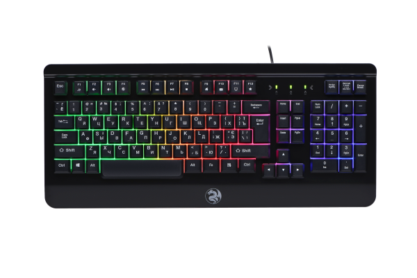 2E GAMING Keyboard KG320 LED USB Black Ukr