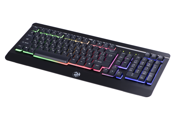 2E GAMING Keyboard KG320 LED USB Black Ukr