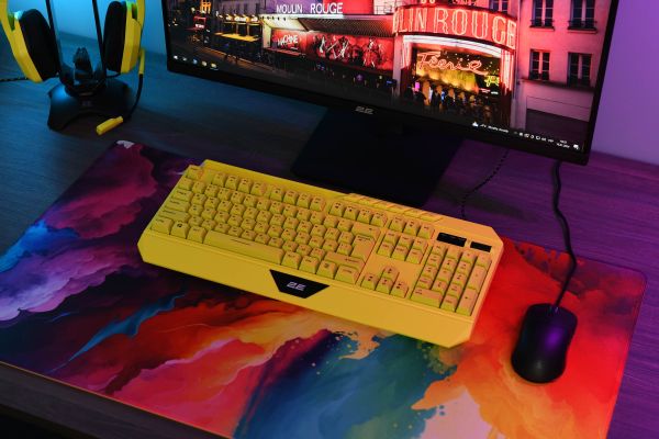 2E GAMING Mouse Pad PRO Speed D01, XL (800x450x3mm), multicolor