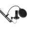2Е MPC021 Streaming PC Microphone, USB