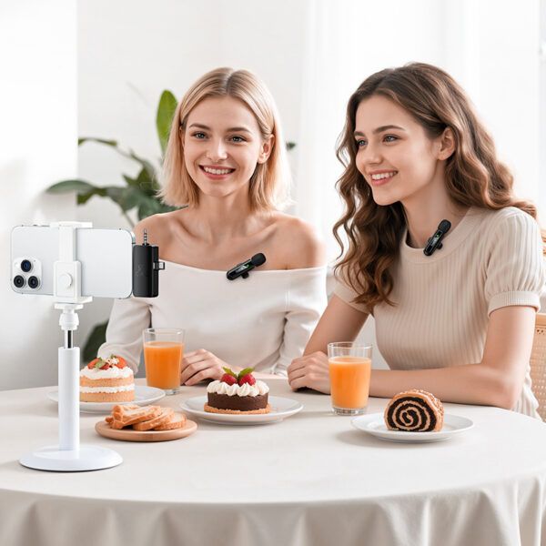 Hoco L20C Fair dual-mic wireless microphone iP/Type-C/3.5