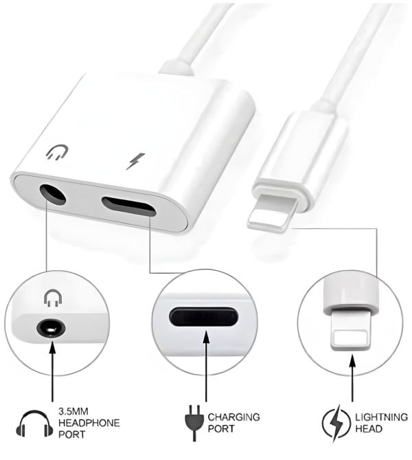 Dual Pin Audio Charge Adapter