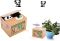 Panda moneybox