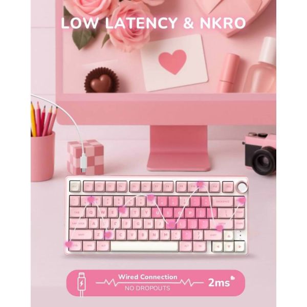 Royal Kludge RK R75-PM-XW RGB Mechanical Keyboard, Beige Switch, Hot Swappable, Wired, USB, Pink Melody