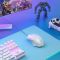 Lizsword Wired Gaming Mouse