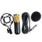 Studio Microphone