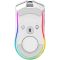 Razer Mouse Cobra Pro, RGB, USB-A/WL/BT, white