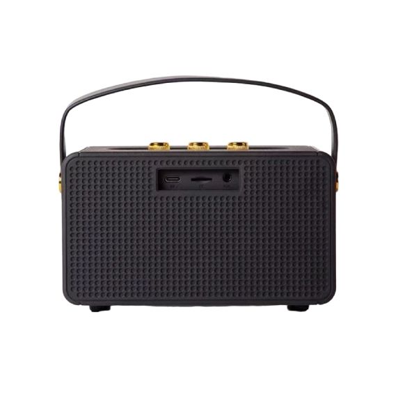 Marshall M10