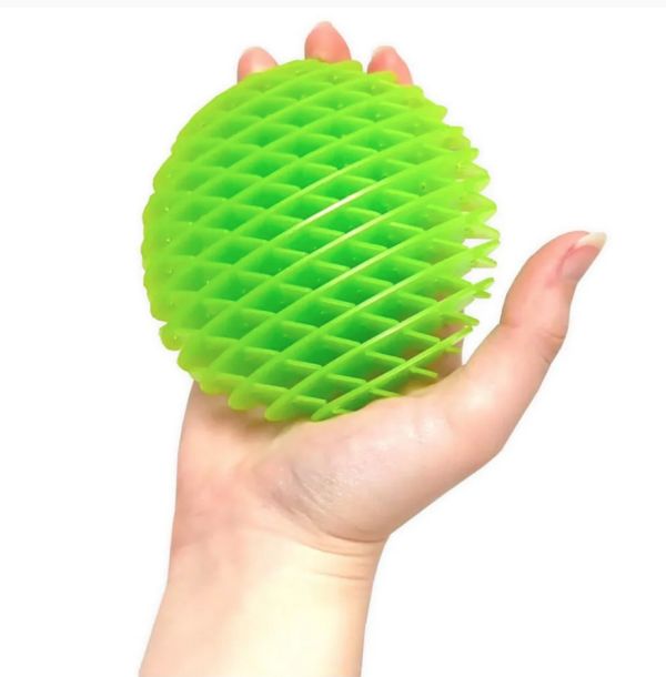 Fidget Toy