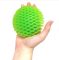 Fidget Toy