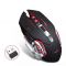 T-WOLF Q13
