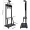 TV Mount Allscreen C1700, 40"-70", TV Mount With Roller, Black
