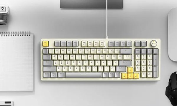 T-wolf T50